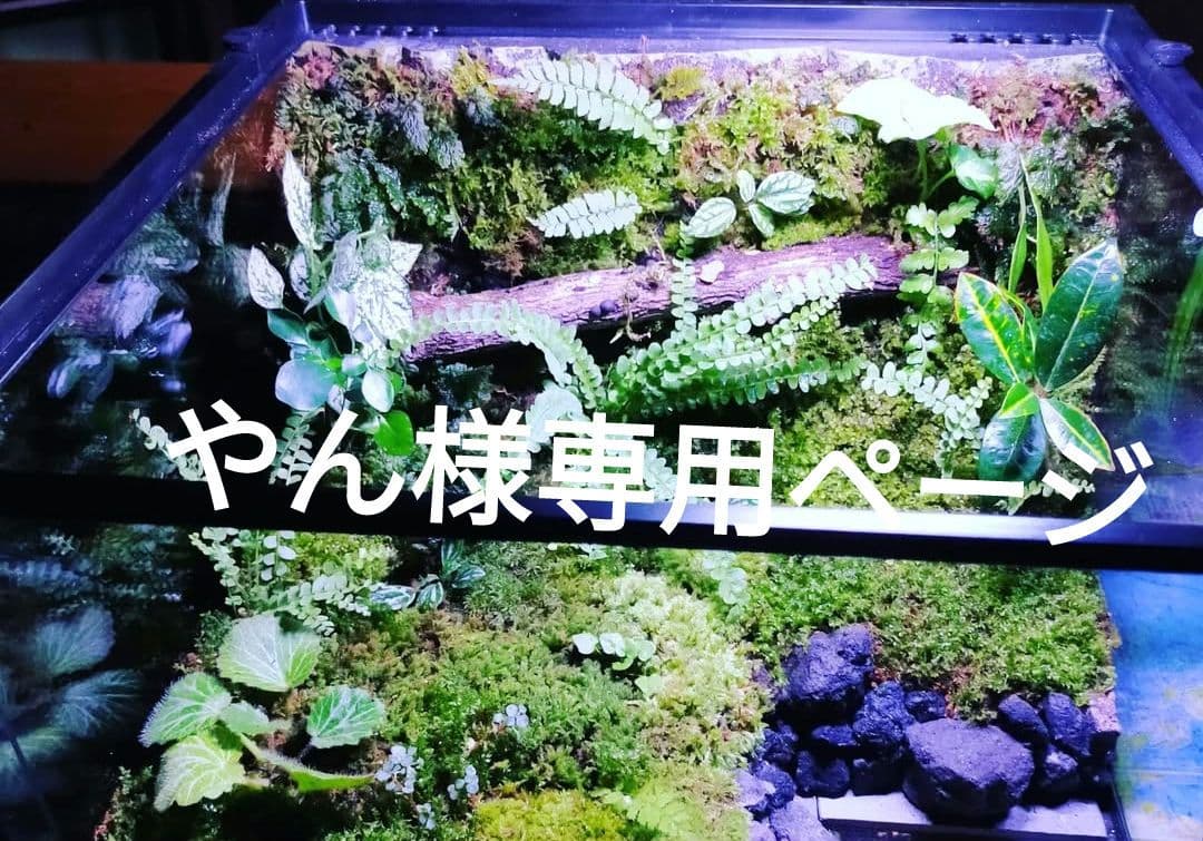 やんページ
