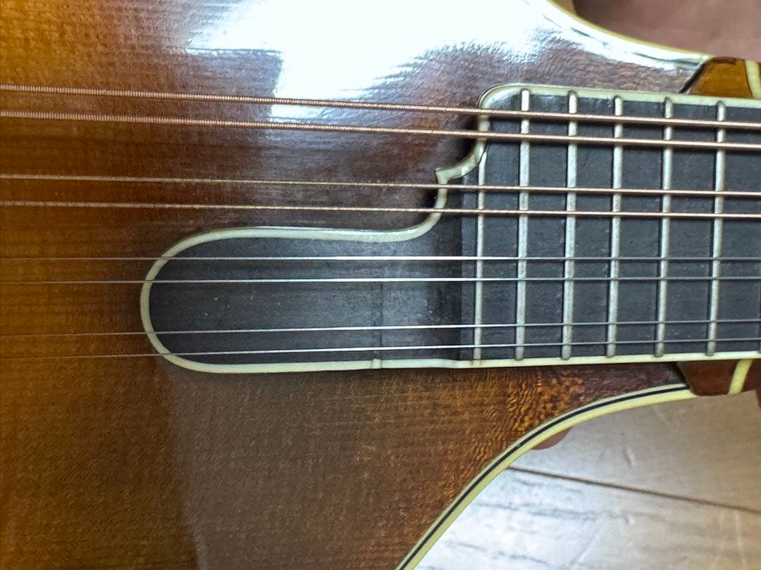 Gibson Mandolin A-5L 1989年
