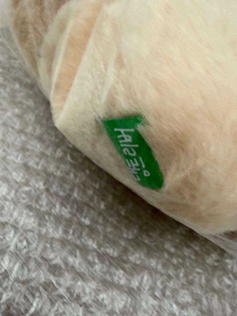 NCT WISH ジェヒ　デントリバー バッグ　ソウルコン　カバン　キャラクター