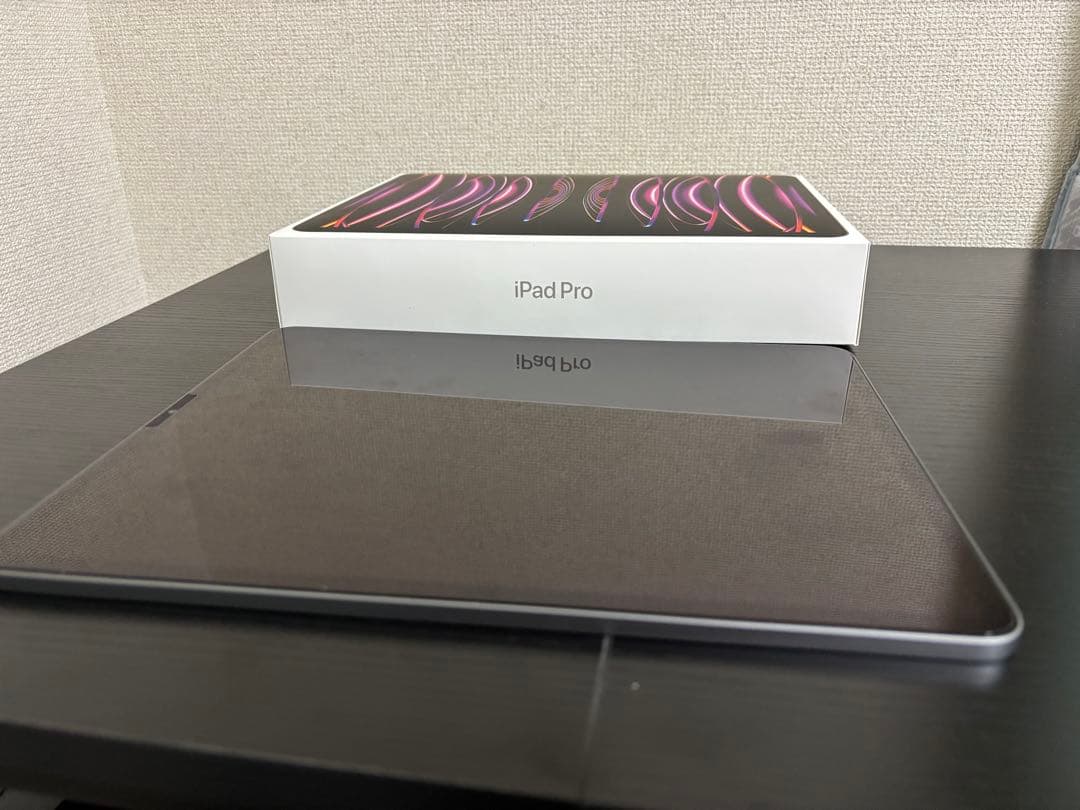 iPad Pro 12.9 inch 第6世代＋apple pencil