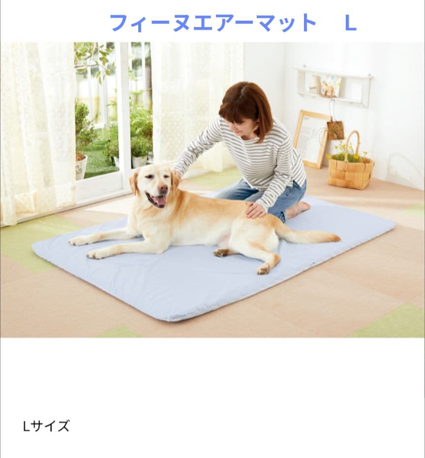 ペピイ　フィーヌエアマット　Lサイズ（シニア犬に快適）