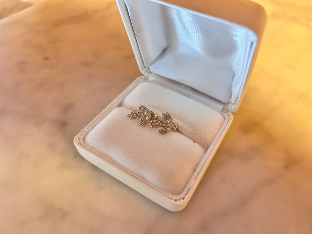 SAN MARE K18 フェアリーバード　ダイヤモンド ピアス