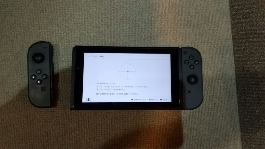 Nintendo Switch グレー ケース付き