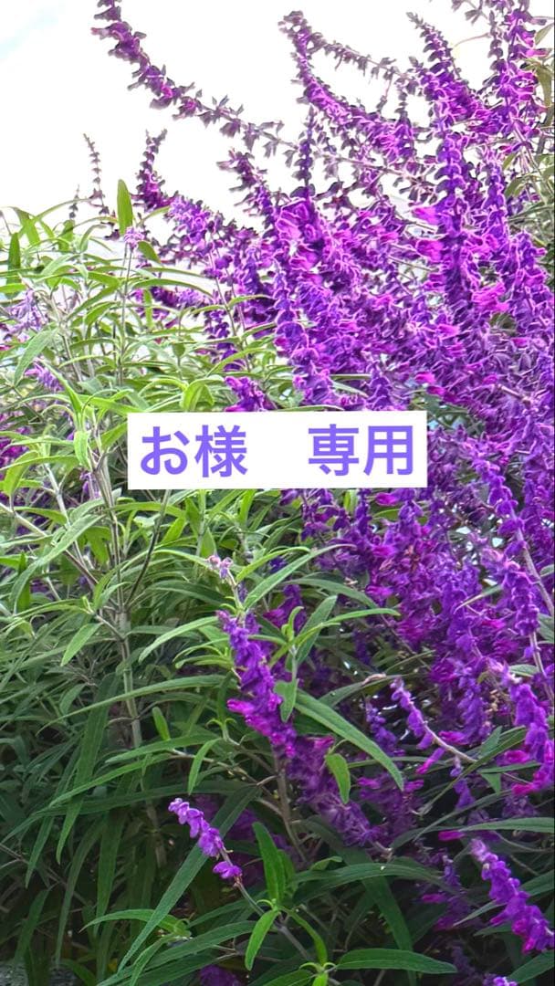 お
