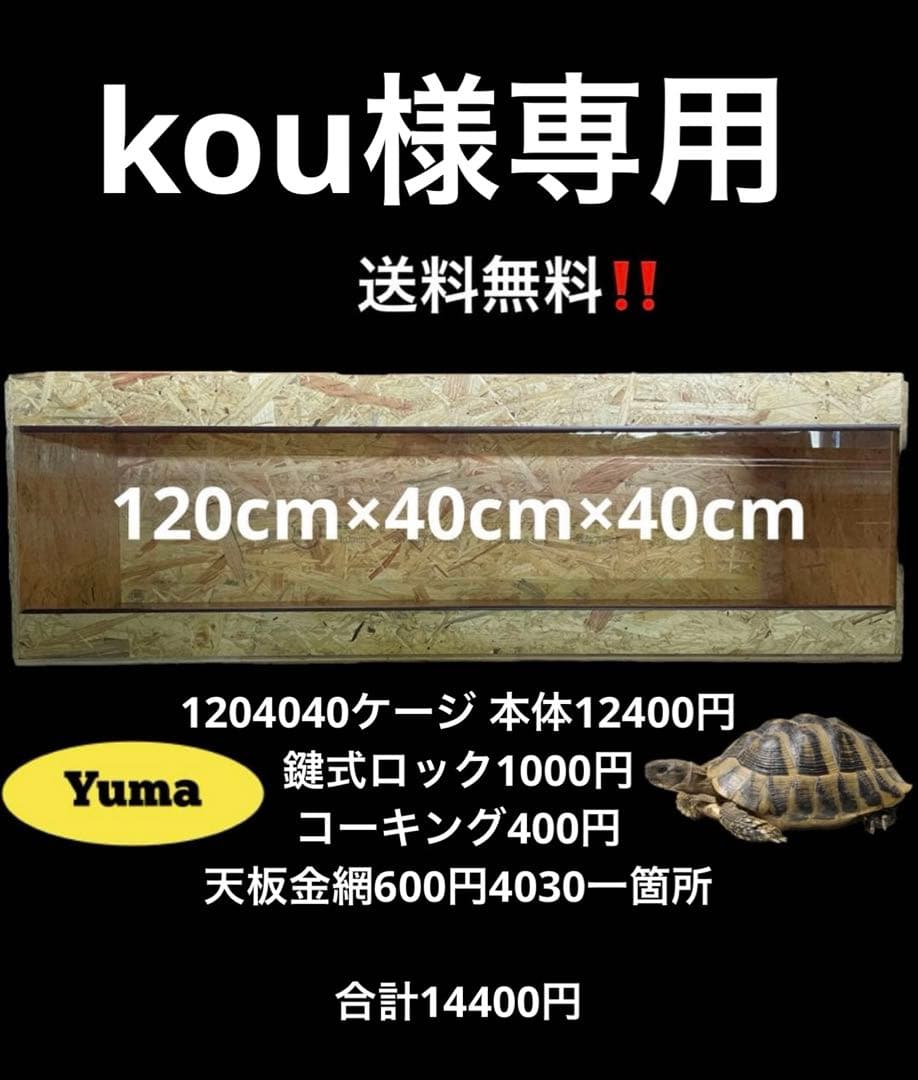 kou　1204040