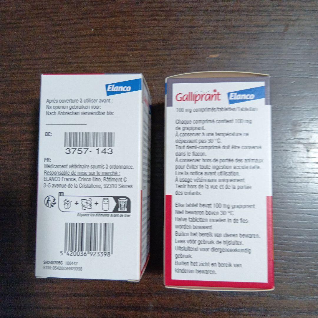 ガリプラント