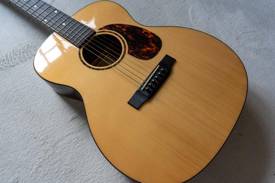 Recording King RO-G6 【美品】OOOタイプ 新品ギグバッグ