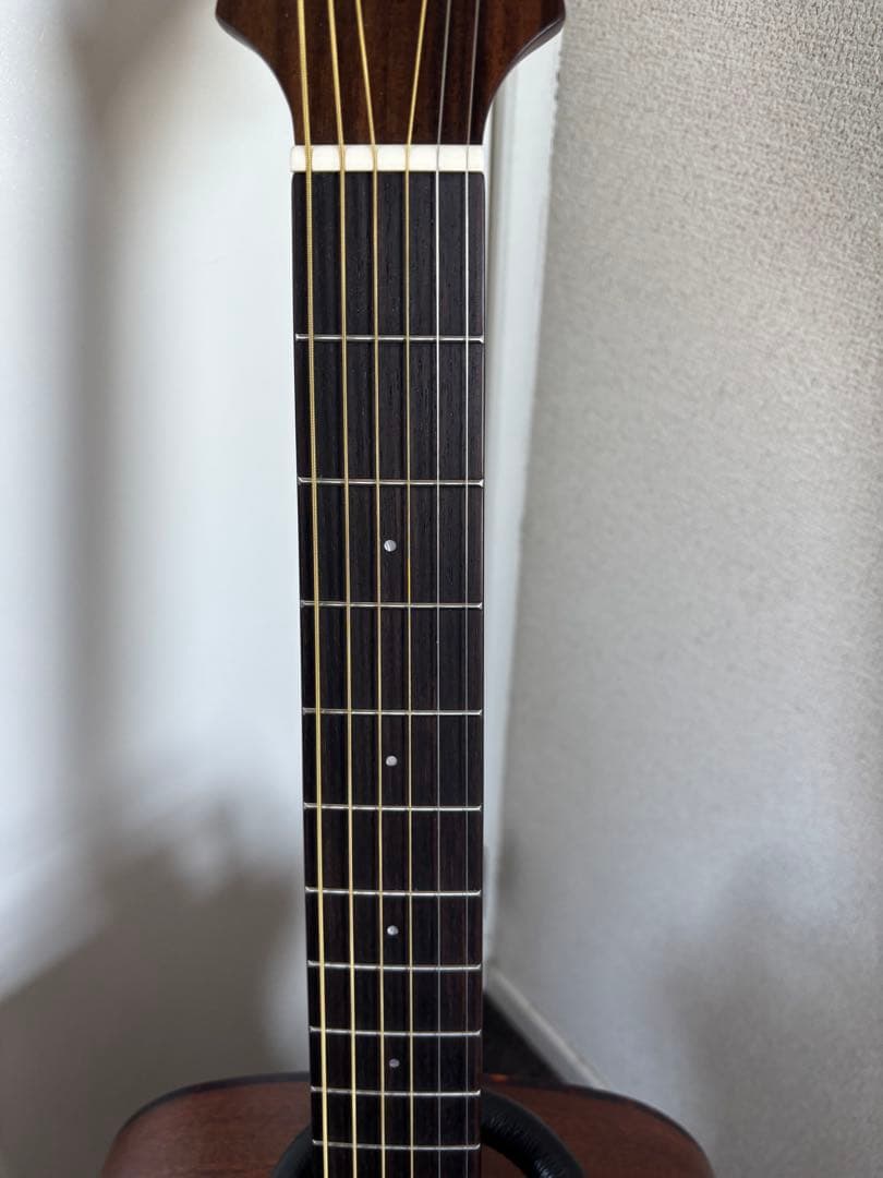 Zemaitis エレアコ CAF-90-RPLMP 【美品】