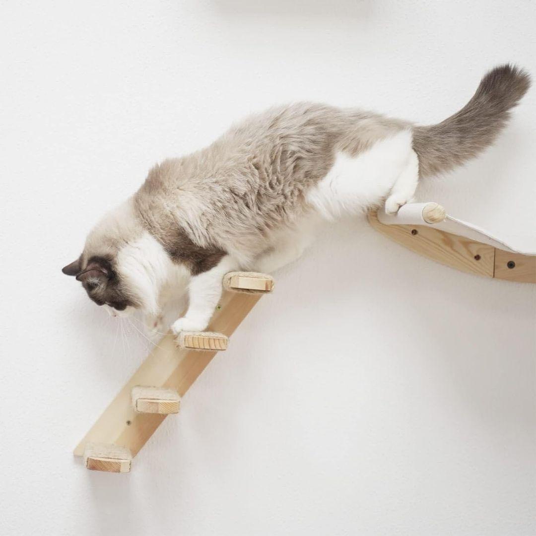 キャットウォーク&ハンモック 壁付け 猫用 階段 インテリア