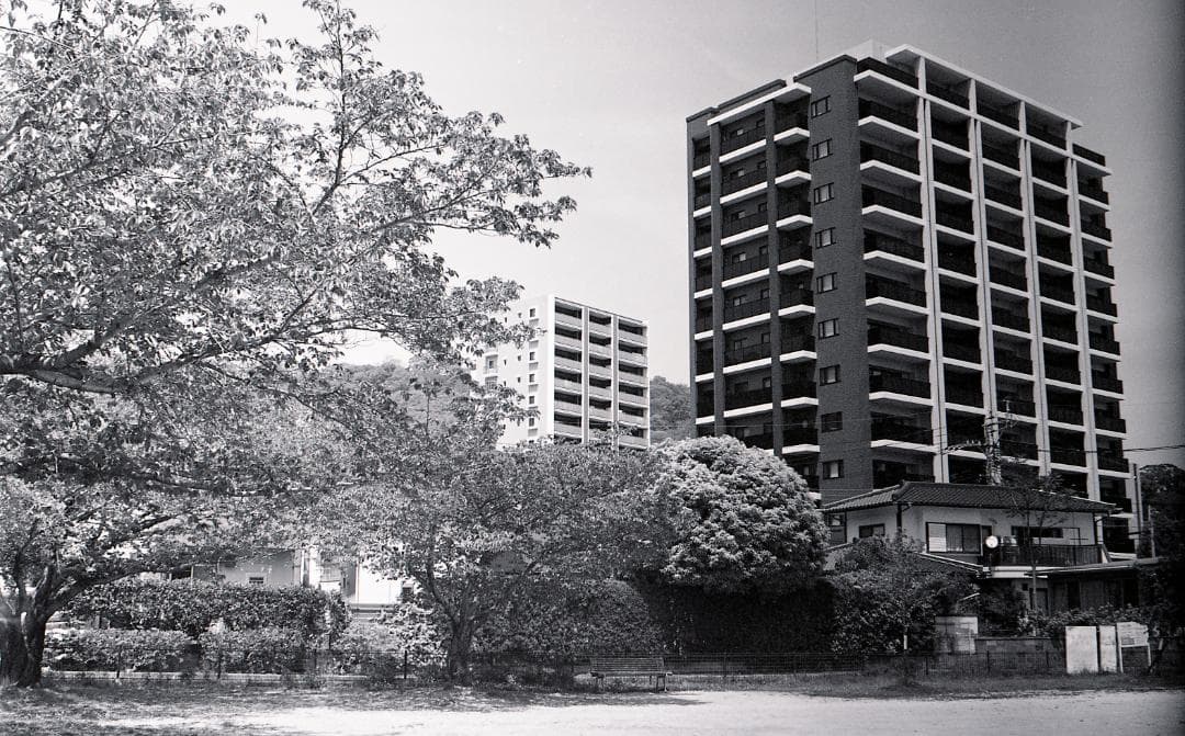 Exakta Varex IIa 打ち出しロゴ　完動品　試写済