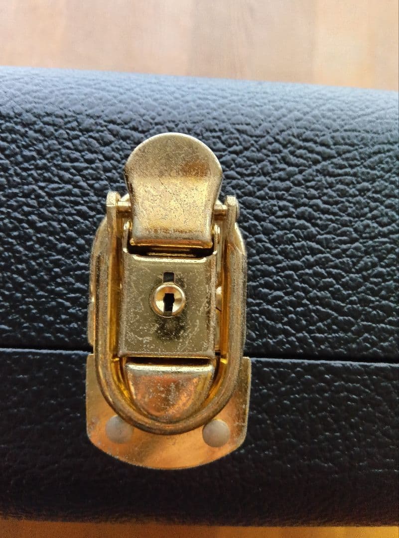 ゴダンギターケース