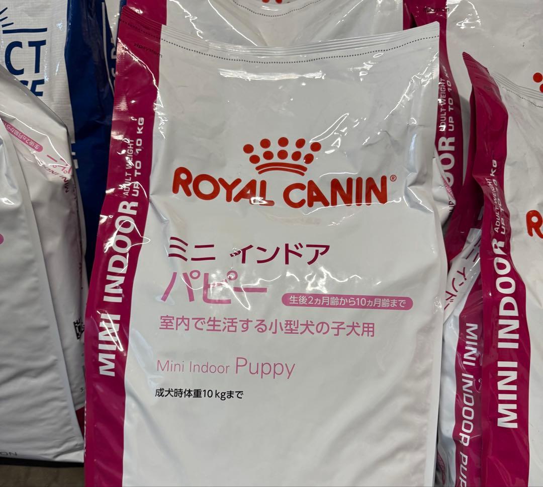 ロイヤルカナン　ミニインドアパピー　10kg 今日現在在庫1つ限り