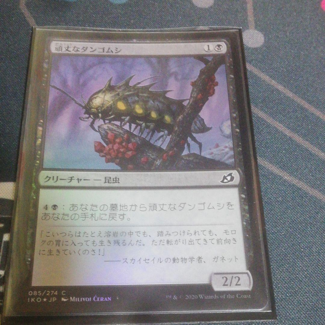ダンゴムシ