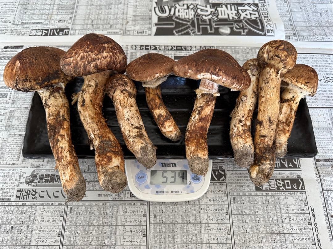 mer様　依頼品