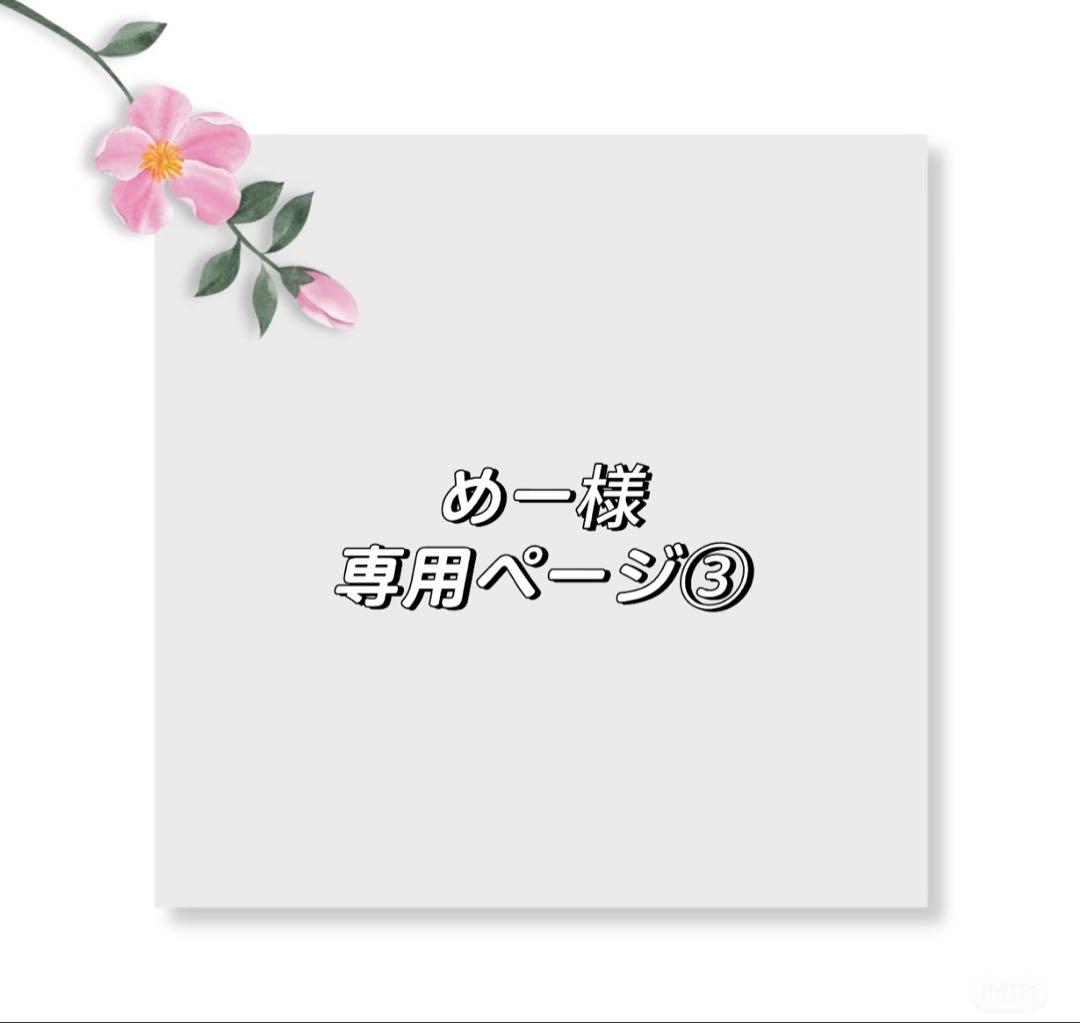めーページ③