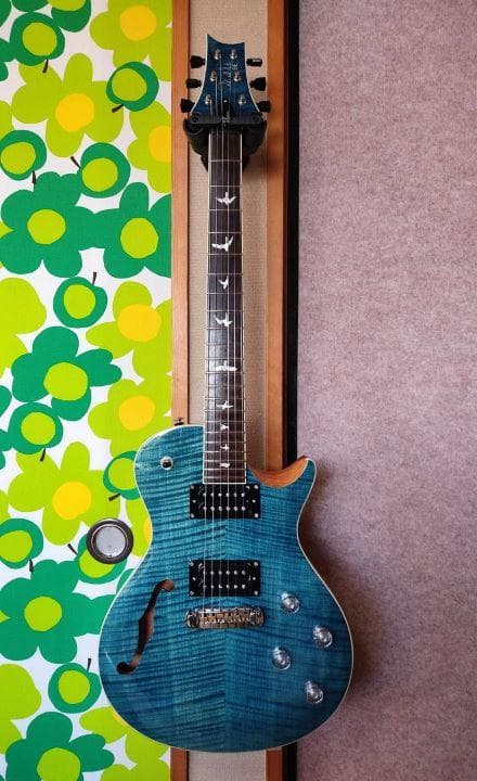 PRS SE ZACH MYERS　ザック・マイヤーズ モデル