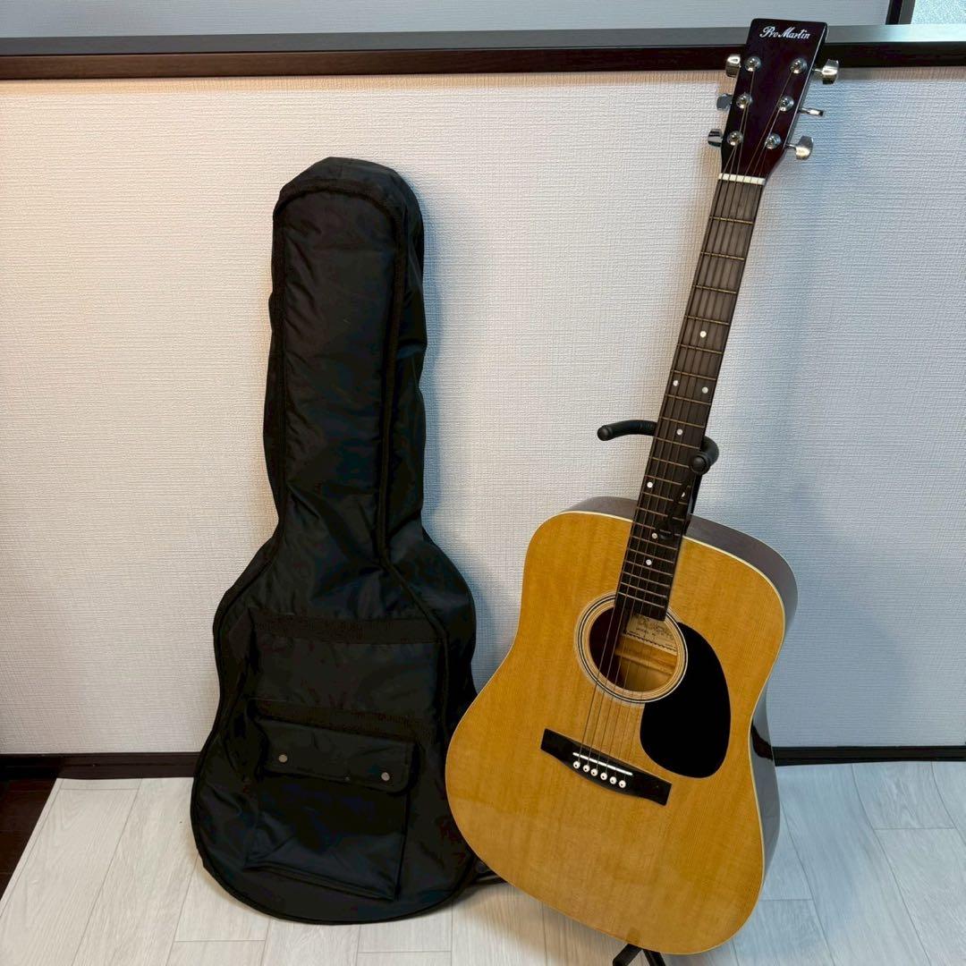 Pro Martin アコースティックギター ギターケース付き
