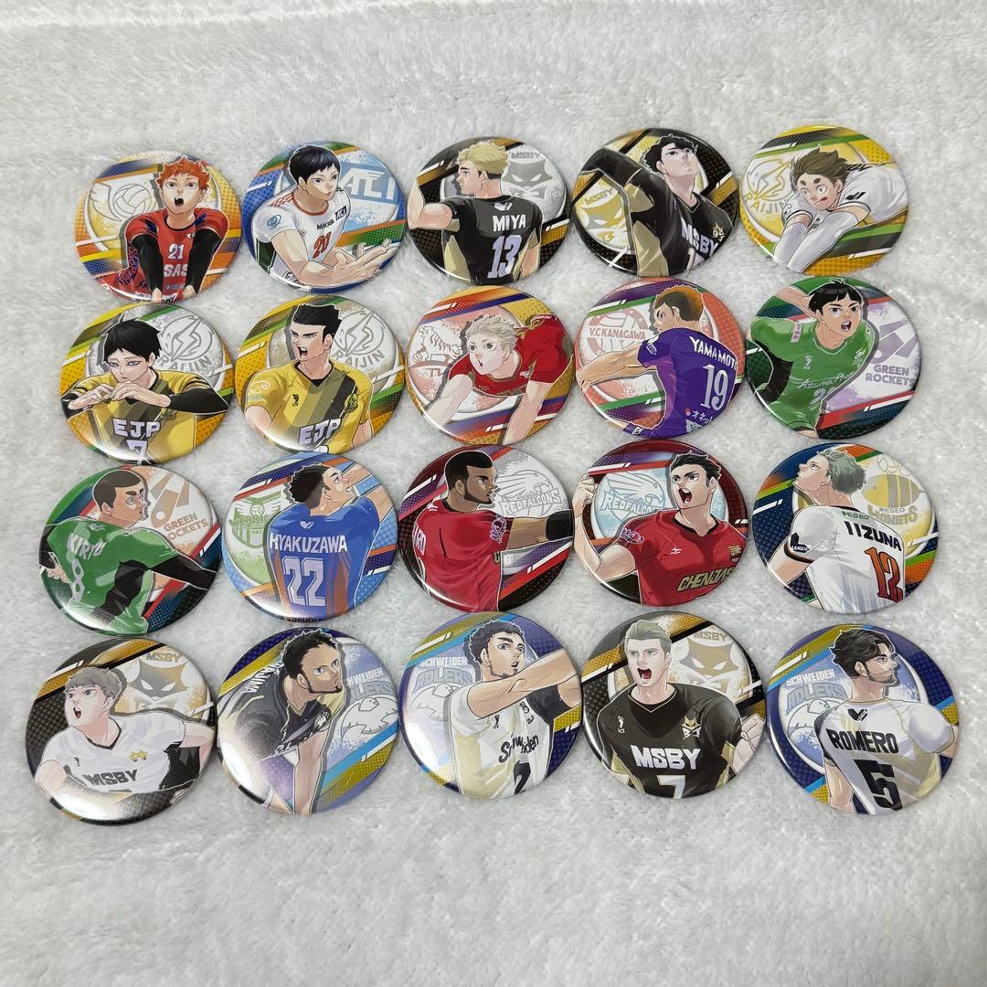 ハイキュー　コレクション缶バッジ 　Vリーグ 　20点