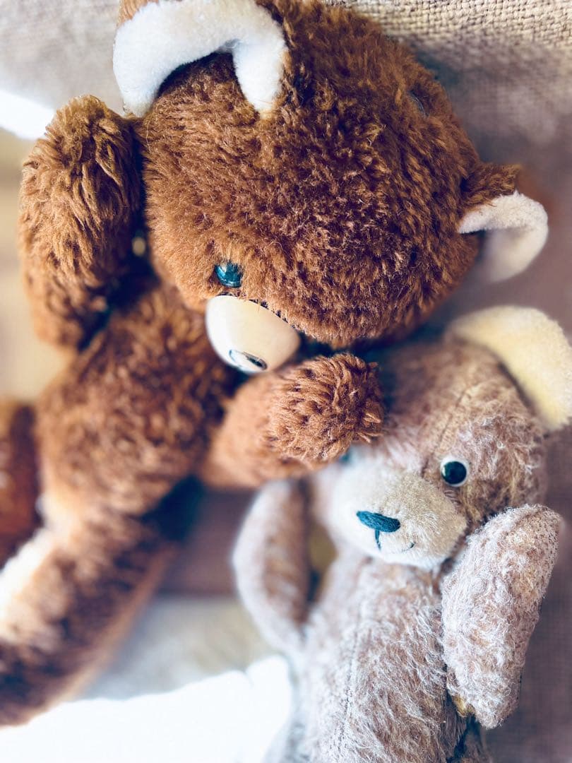 ち*ら様 ⋆⑅˚ DDRベア セット ポンチ目ヴィンテージ ベア アンティークベ