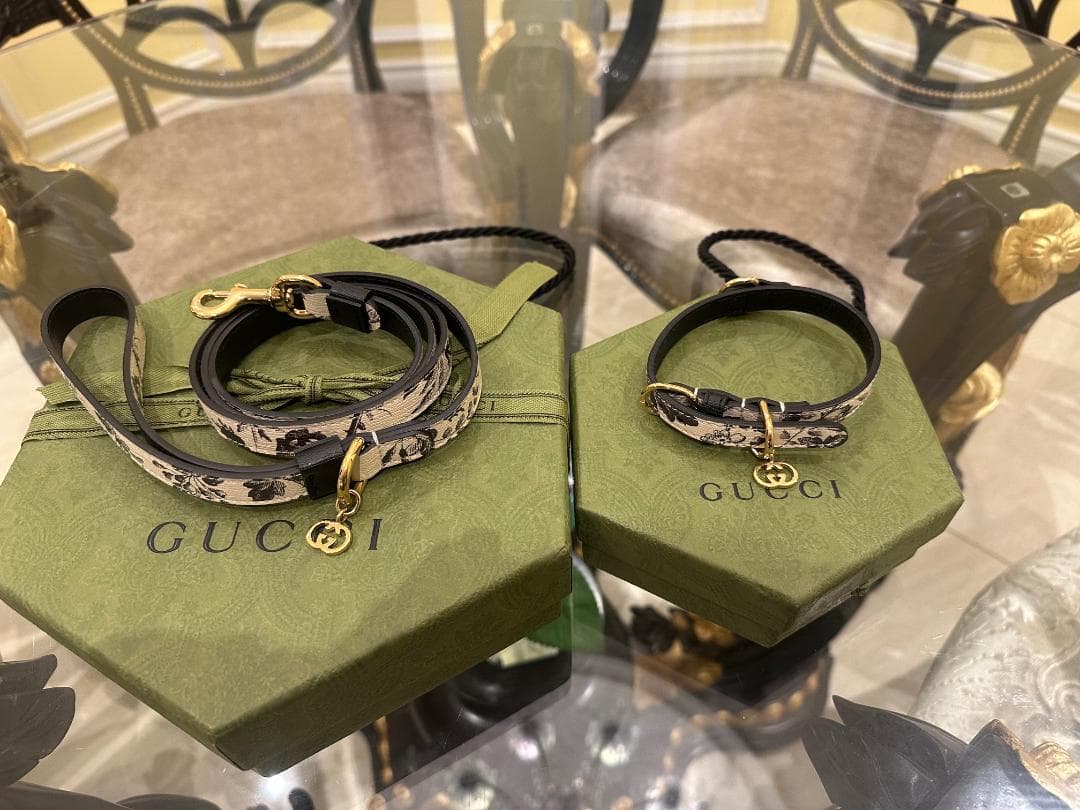 GUCCI グッチ ドッグ リード&カラー ２点セット 犬用 首輪