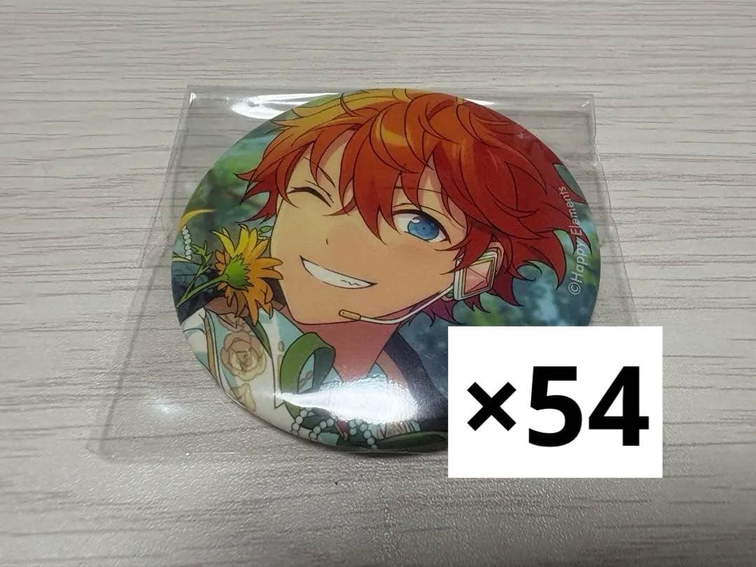 明星スバル フィーチャー2 缶バッジ 54点 idol お値下げ明日まで