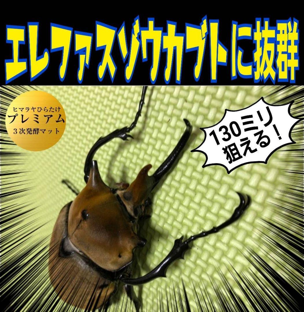極上！プレミアム3次発酵ヘラクレスマット【4袋セット】幼虫巨大化！産卵にも抜群