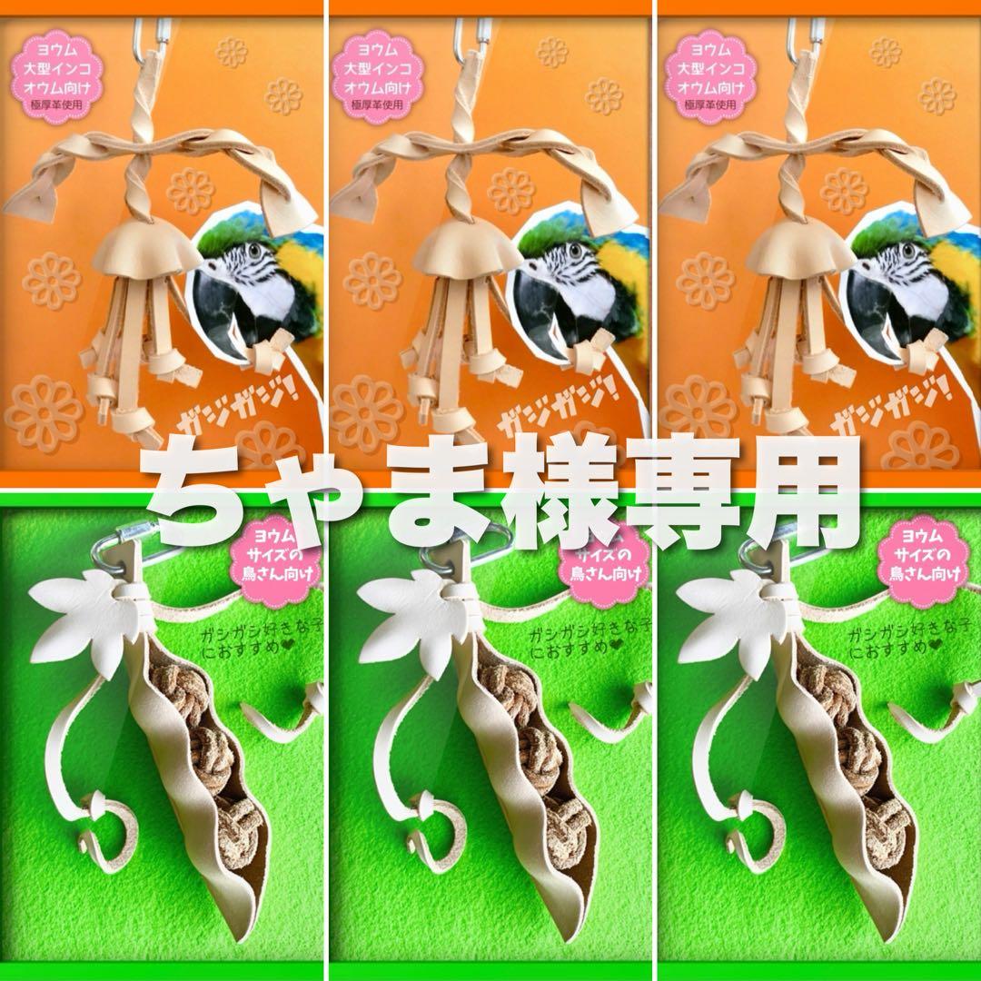 ちゃま
