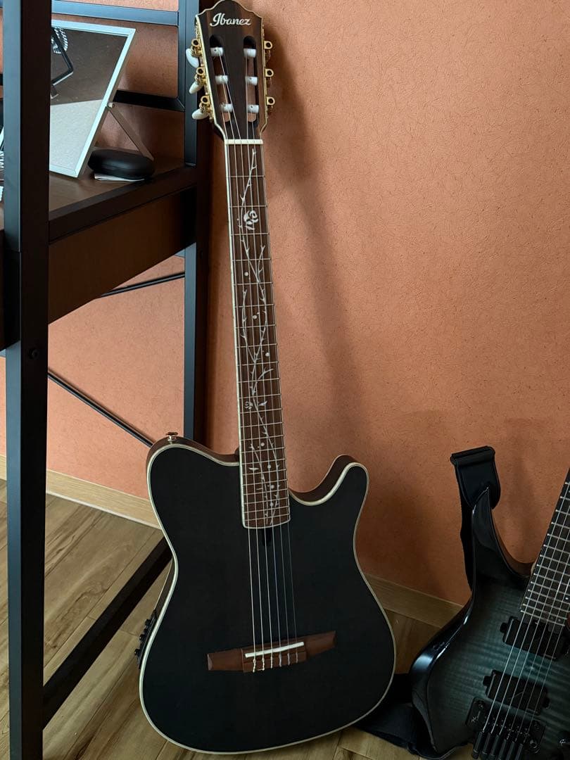 ギター Ibanez Tod10n
