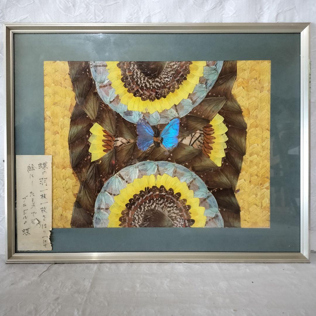 希少　蝶々の羽根を貼り合わせた作品　ブラジル