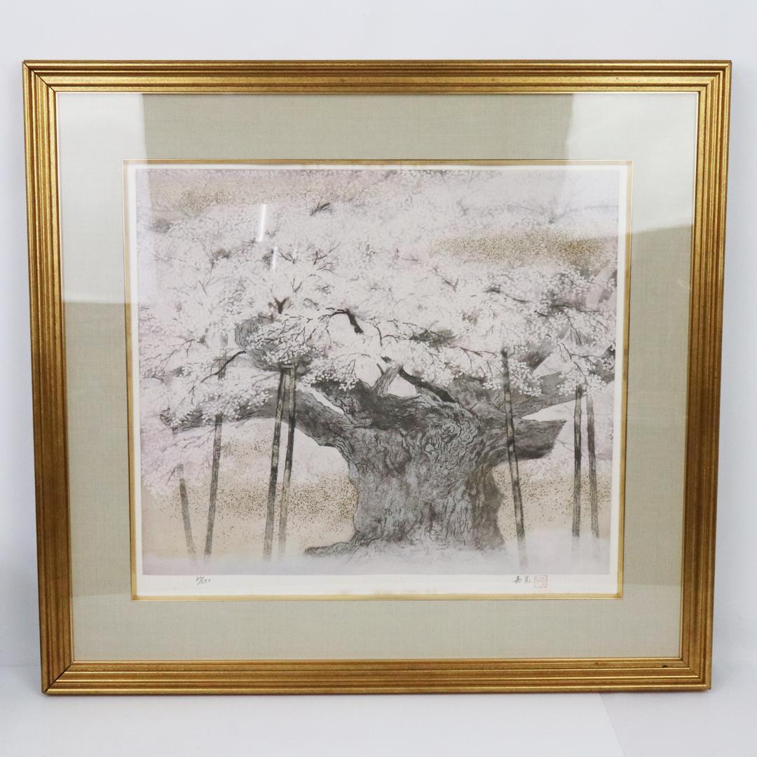 伊藤嘉晃 「淡墨桜」リトグラフ 80/250 共シール 額装