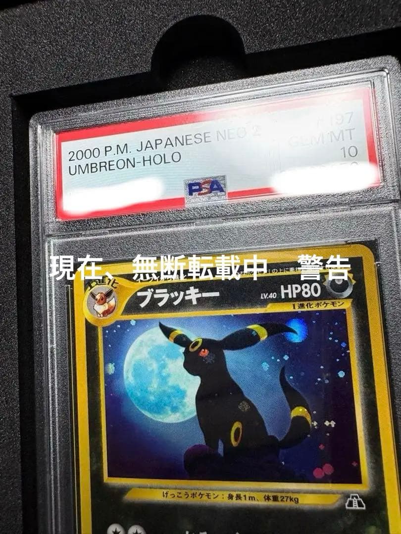 ブラッキー　 psa10 197 旧裏