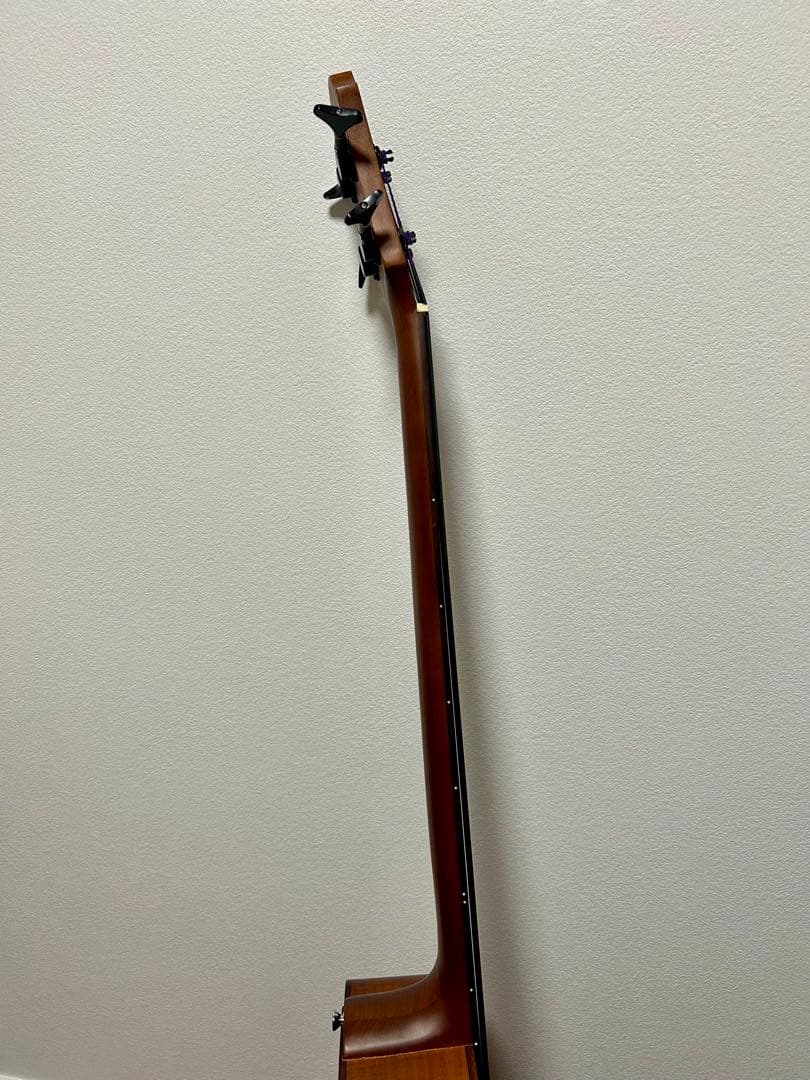 【美品】Aria FEB-FL エレアコベース　フレットレス