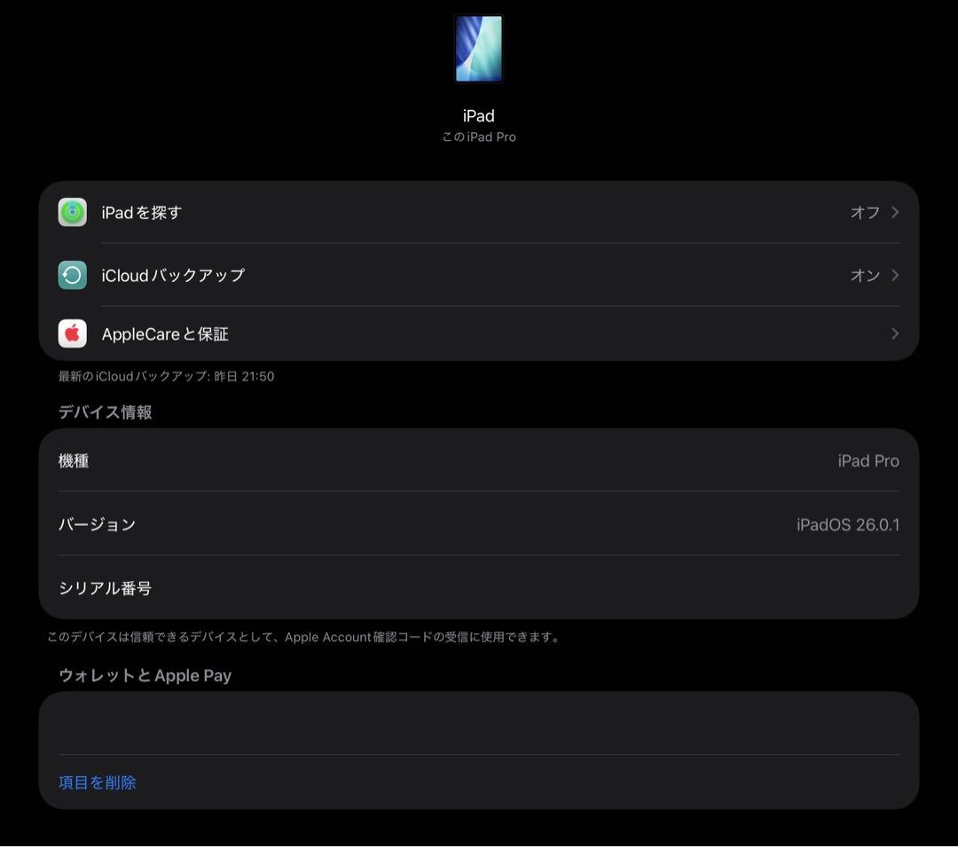 iPad Pro 12.9インチ　第6世代　256GB
