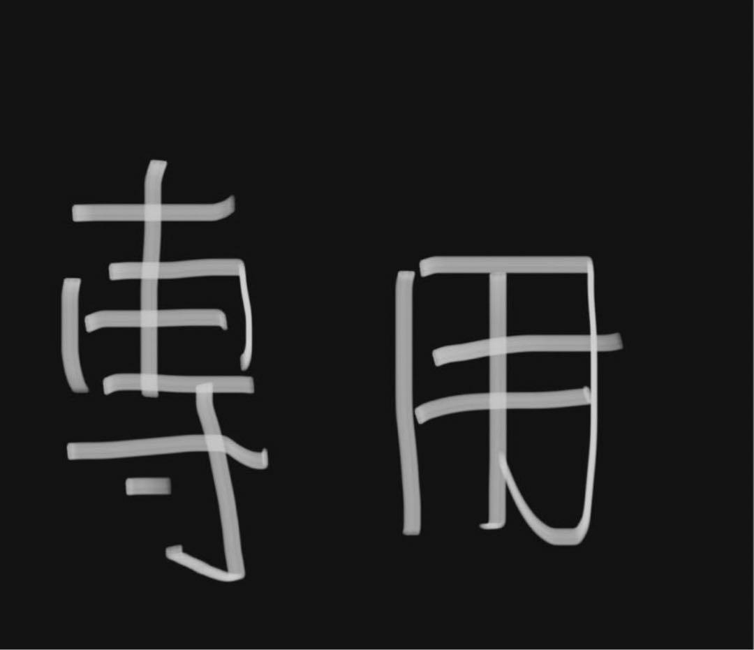 専用出品