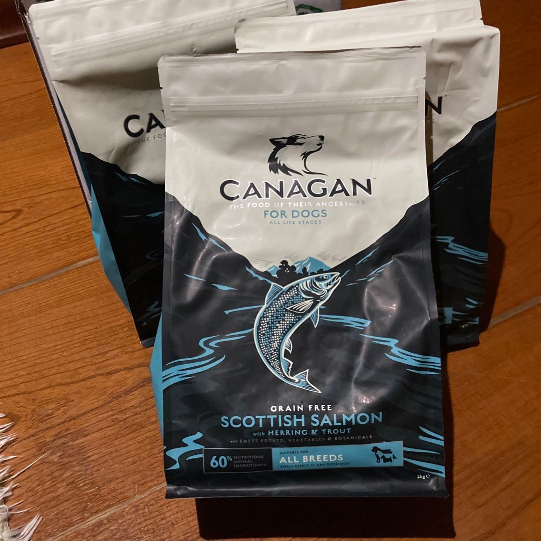 CANAGAN サーモンドックフード 2Kg ✖️3袋　①
