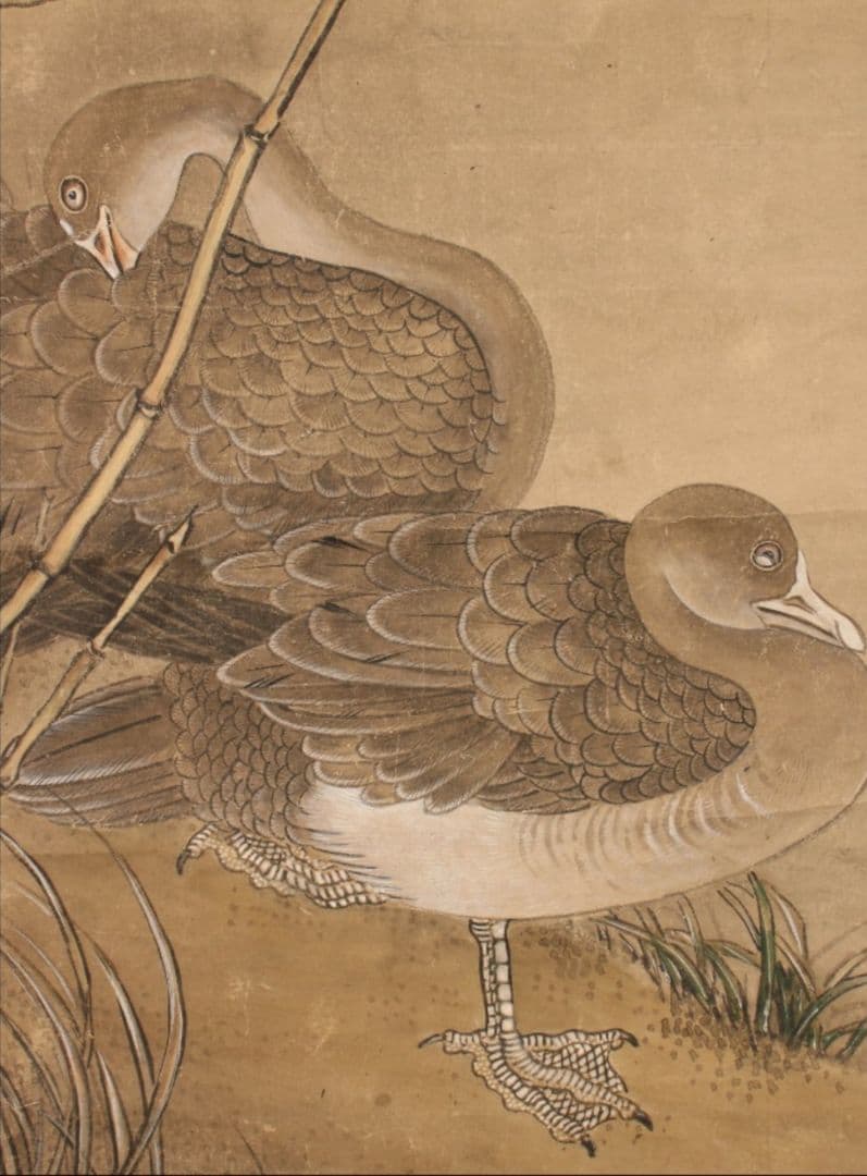 谷文晁　［芦雁図］ 耕南極箱 江戸文人画大家 骨軸先　掛軸