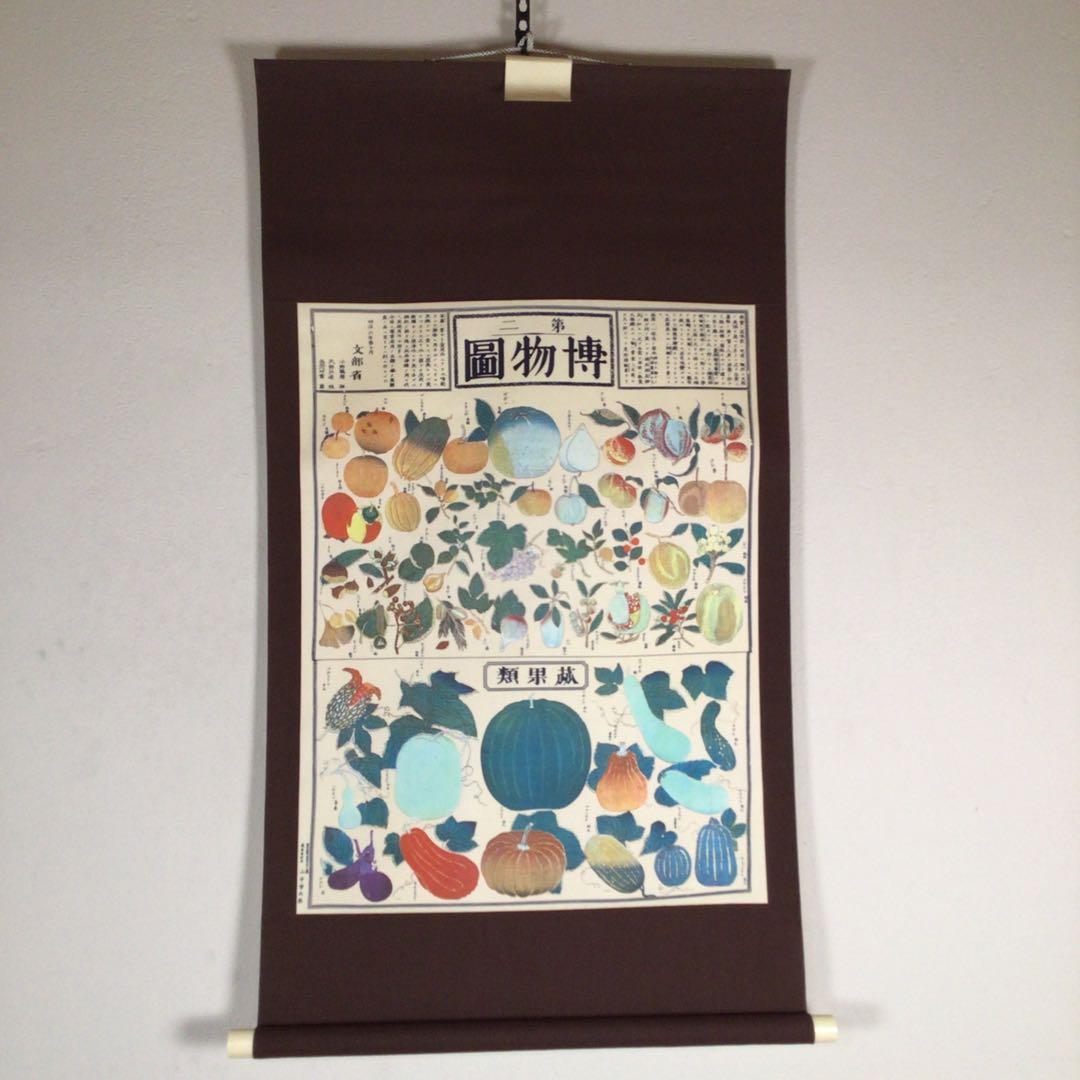 4802 教育博物館 全４巻　復刻掛軸3本付属　唐澤富太郎著　文生書院　送料無料