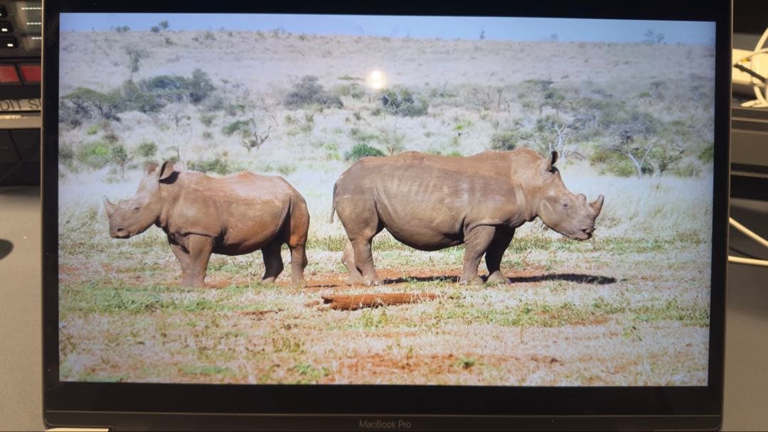 MacBook本体 A1706 15 inch 16GB/250GB MacBook Pro