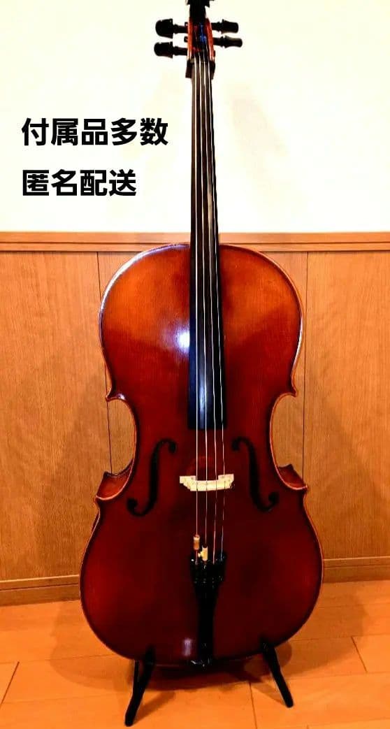 弦楽器 3104
