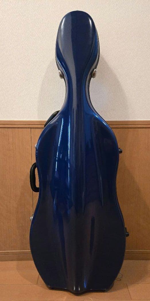 弦楽器 3104