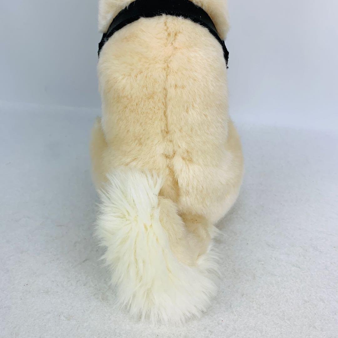 レア　国立科学博物館　秋田犬　ハチ　ぬいぐるみ　おすわり　ハチ号