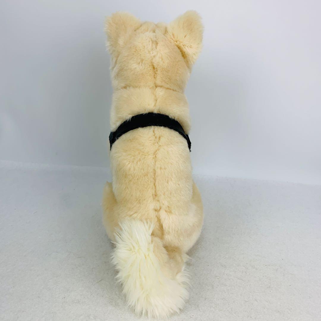 レア　国立科学博物館　秋田犬　ハチ　ぬいぐるみ　おすわり　ハチ号
