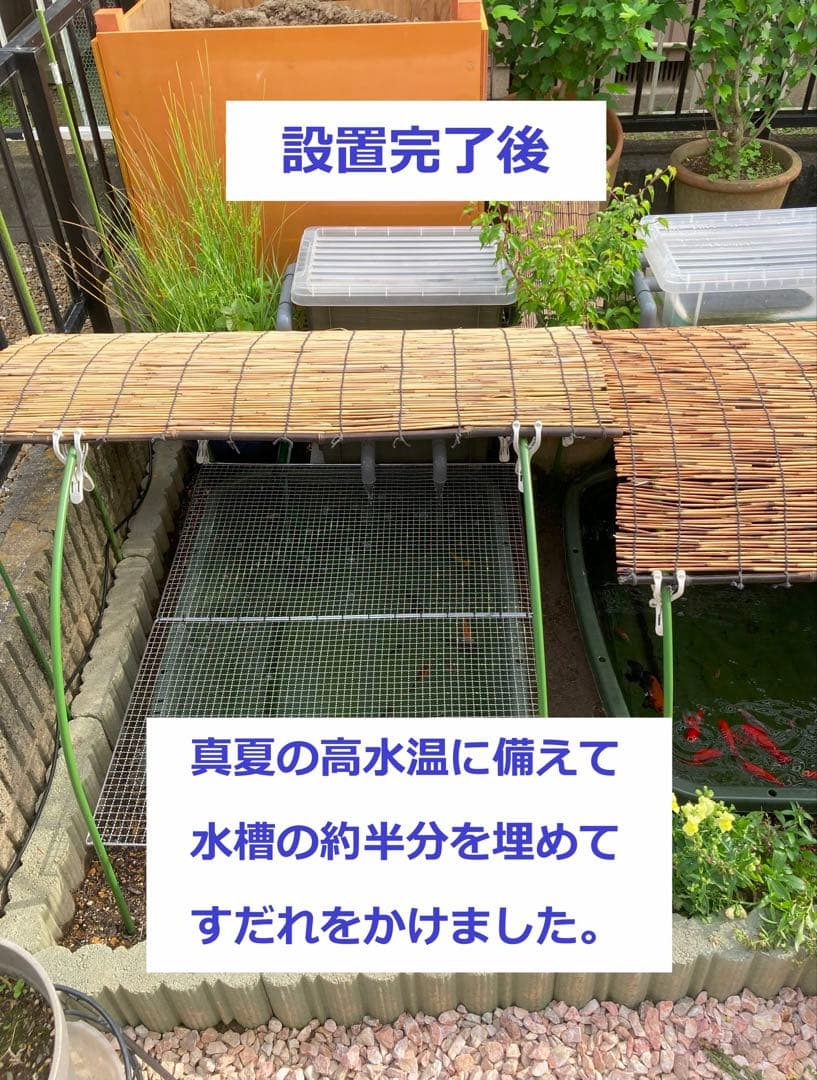 【RA様】三段式外部ろ過装置（個人製作濾過装置）【メダカ・金魚・錦鯉の屋外飼育】