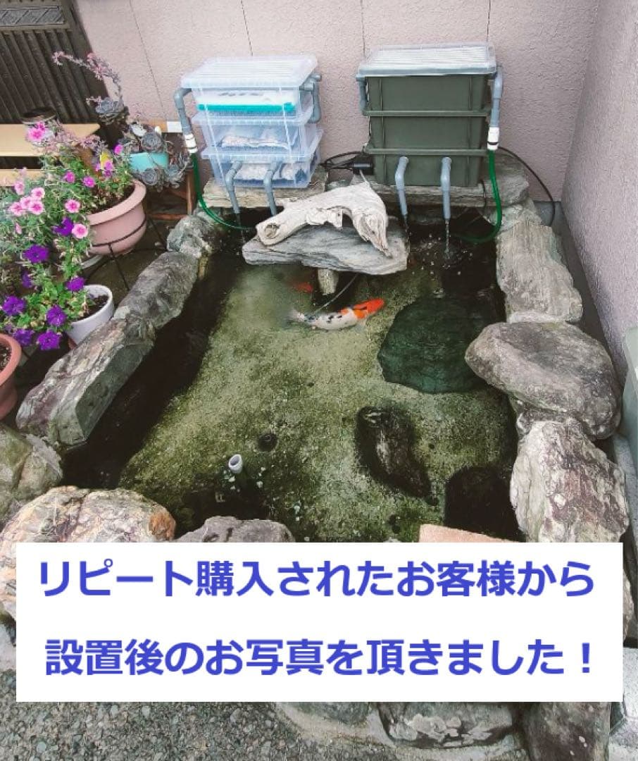 【RA様】三段式外部ろ過装置（個人製作濾過装置）【メダカ・金魚・錦鯉の屋外飼育】
