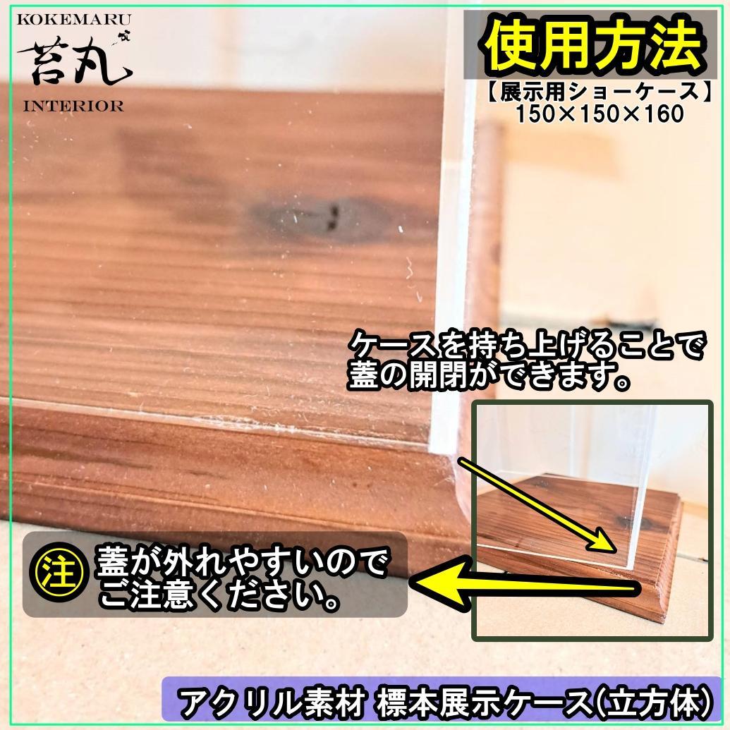 【ショーケース】150×150×180 ※アクリル製ケース、無垢材土台