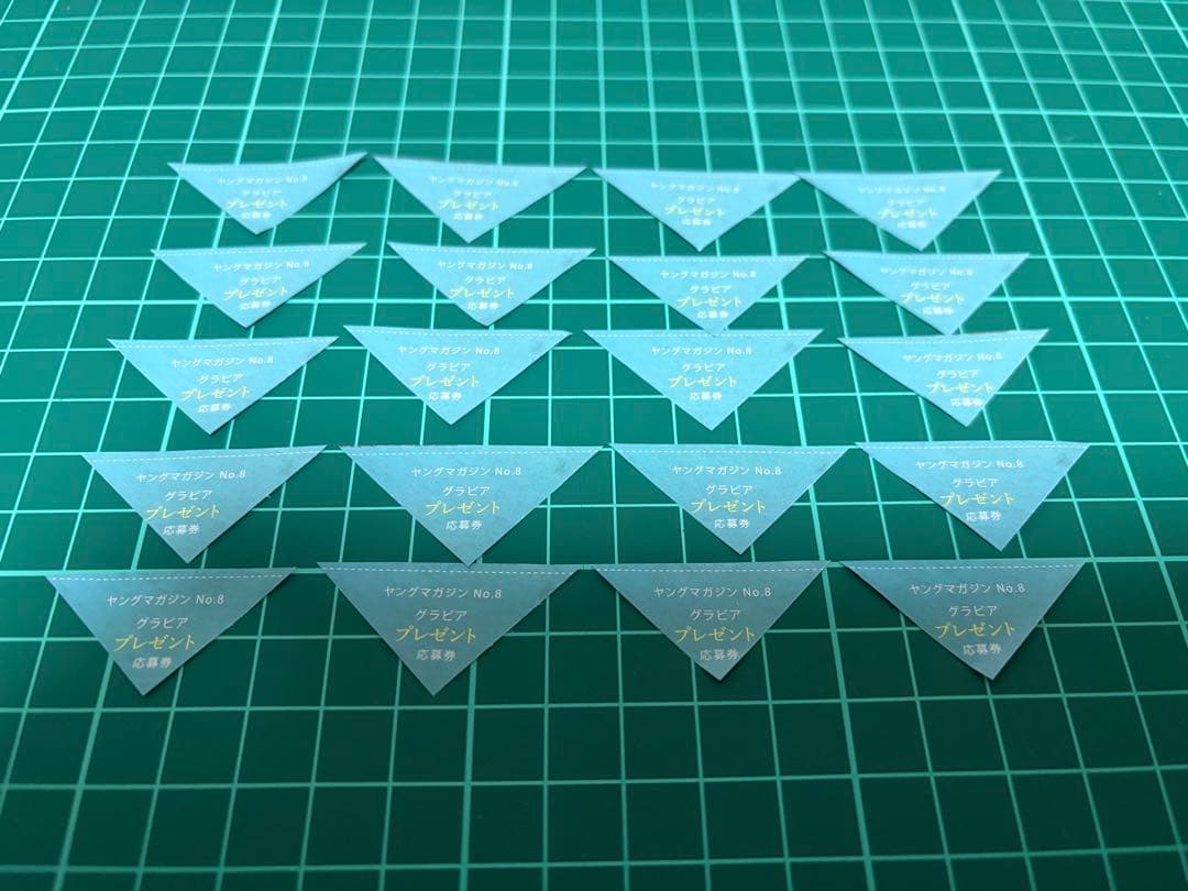 沢口愛華　週刊ヤングマガジン　 直筆サイン入りチェキ　プレゼント　応募券　20枚