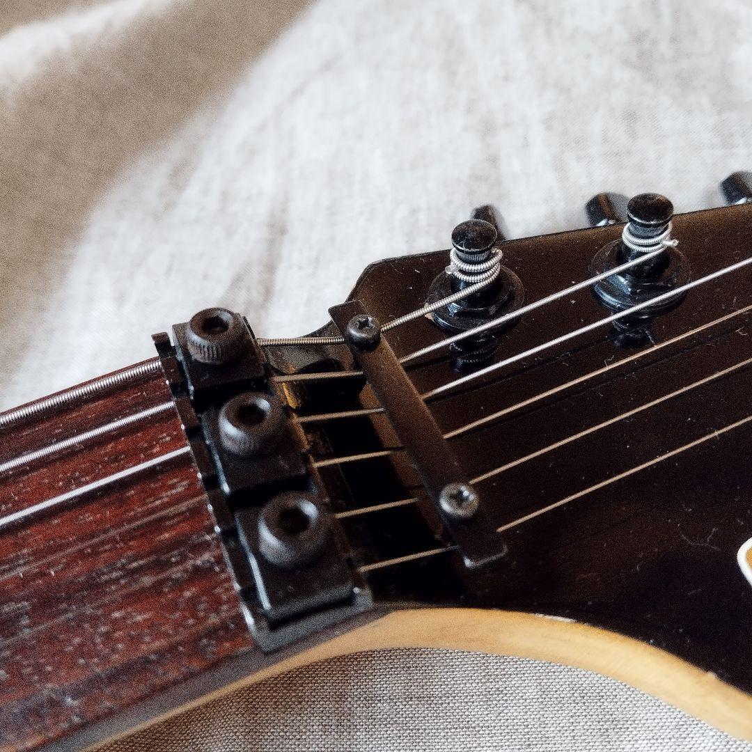FERNANDES FR-55 FRT-8 フェルナンデスリボルバー