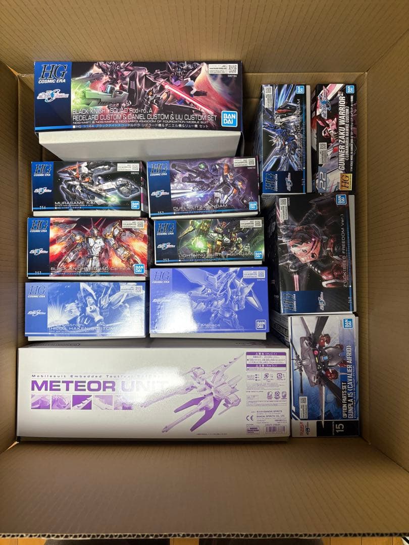 【11体セット＋1】【新品】HG SEED FREEDOM