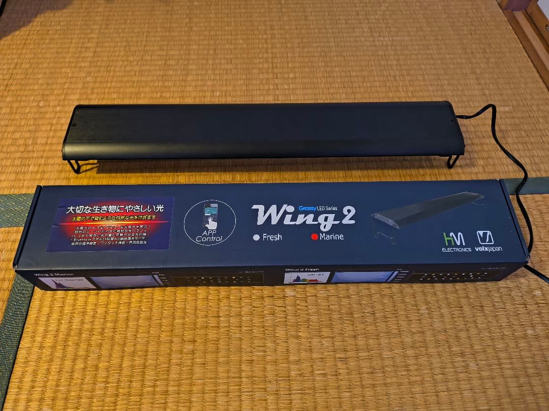 Grassy Wing2 60 Marine/グラッシーウィング2 60マリン
