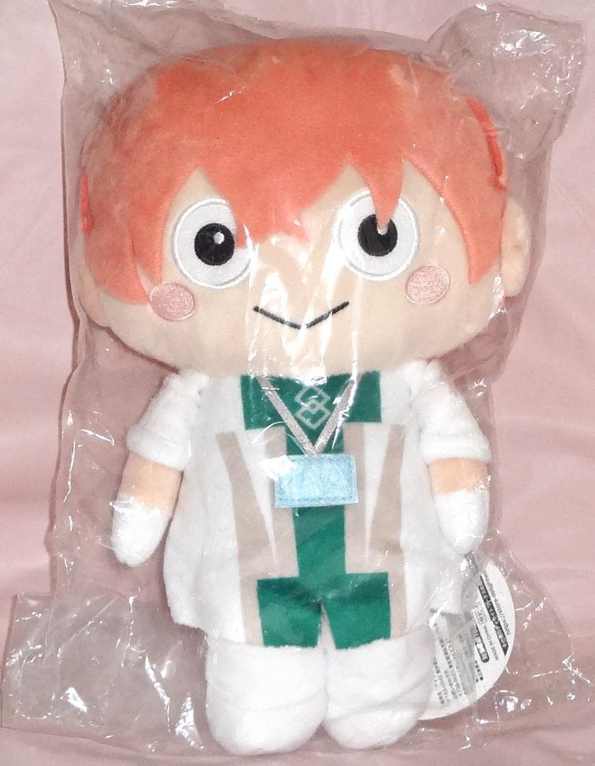 FGO ロマニ・アーキマン ゆるっとぬいぐるみ